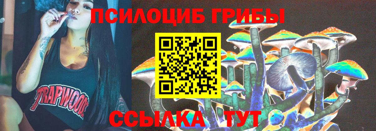 Галлюциногенные грибы Psilocybine cubensis Ирбит
