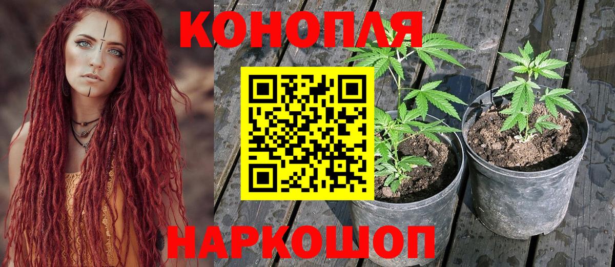 МАРИХУАНА конопля  Бошки марихуана MAZAR  Канабис SATIVA & INDICA  Вход с VPN  Ирбит 